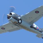 21. Grumman F4F Wildcat