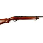 2. Ruger 10/22
